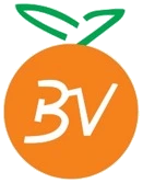 BV